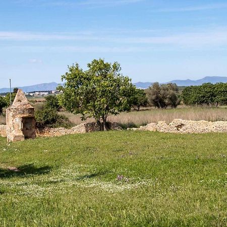 Ocells De Montgri Apartamento Rural En El Emporda Sobrestany Экстерьер фото