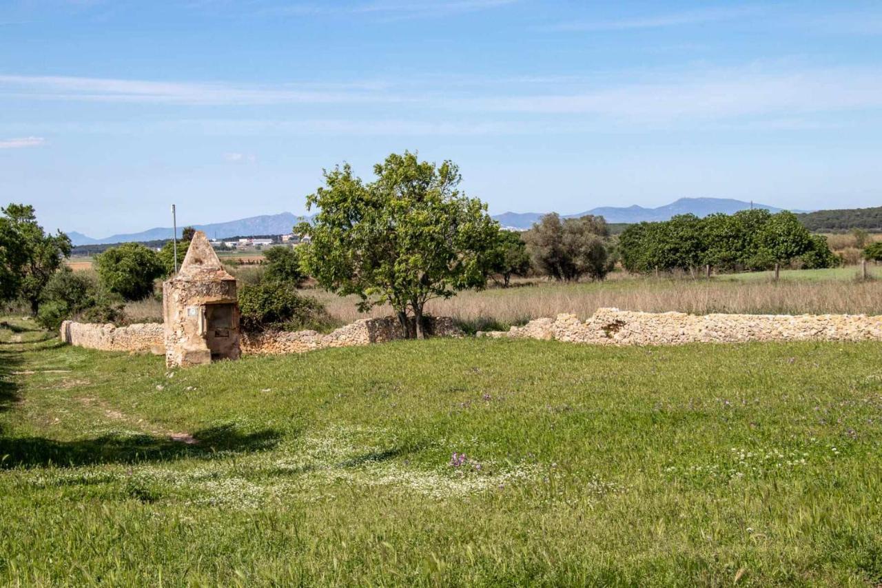 Ocells De Montgri Apartamento Rural En El Emporda Sobrestany Экстерьер фото